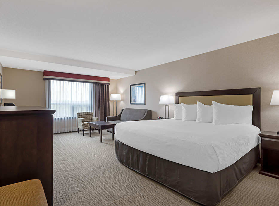  1 King Bed 