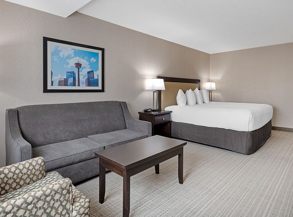  1 King Bed 
